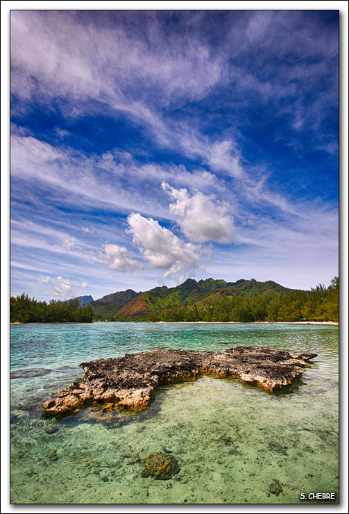 40D12233 cs 2 web.jpg - Moorea - Motu Fareohe